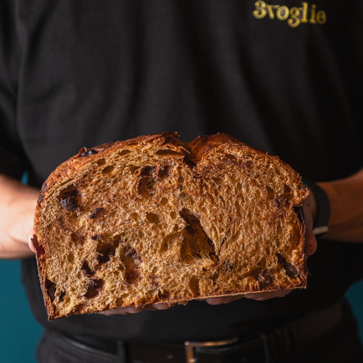 Panettone artigianale caffè e cioccolato